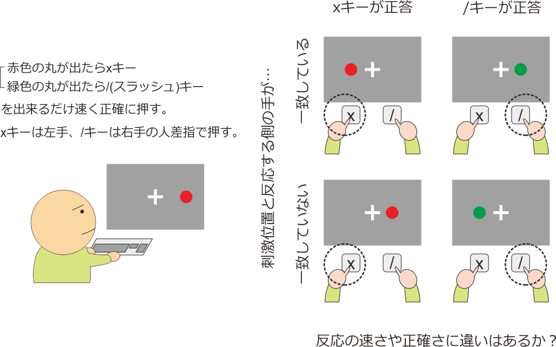 3 最初の実験を作ってみよう サイモン効果 Psychopy Builderで作る心理学実験 3 0 2 ドキュメント